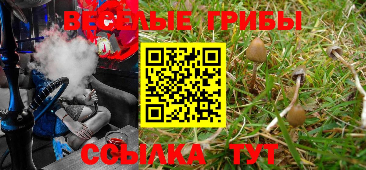 Псилоцибиновые грибы Magic Shrooms Якутск