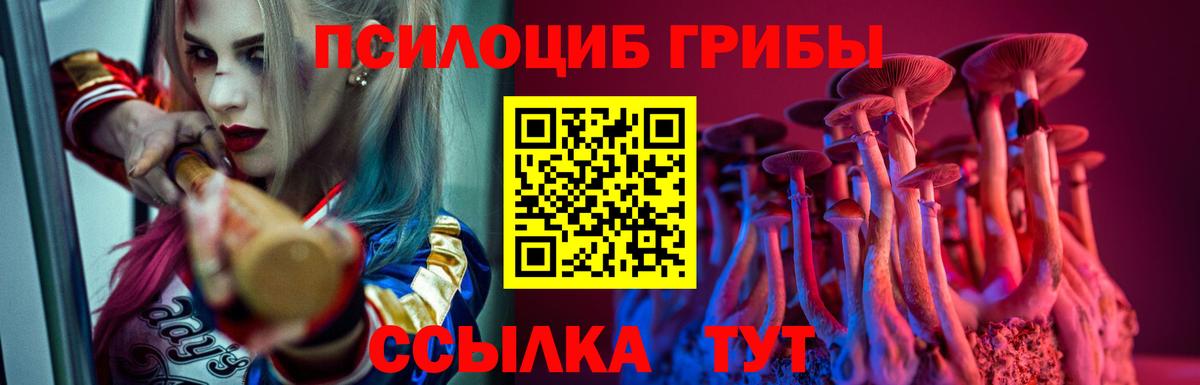 Псилоцибиновые грибы ЛСД  где найти наркотики  Вход с VPN  Якутск  Псилоцибиновые грибы Magic Shrooms 